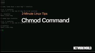 How to use the chmod command [upl. by Enirhtac]