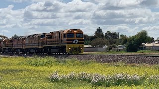 Aurizon 5DA2 at mallala SA [upl. by Bartlet]