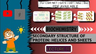 Secondary structure of protein HELICES and sheetsCSIR NET biochemistry [upl. by Ativel401]