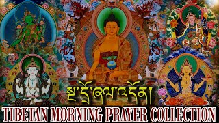 ☸Tibetan Morning Prayer Collectionསྔ་དྲོ་ཞལ་འདོན། दैनिक बिहानी साधना [upl. by Hoag]