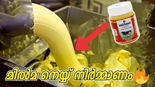 How Ghee and Butter is Processed in Factory  നെയ്യ് ബട്ടർ എന്നിവ ഫാക്ടറിയിൽ ഉണ്ടാക്കുന്നത് കാണാം [upl. by Llehsyt360]