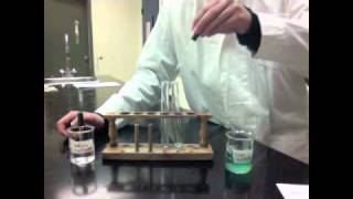 Cupric Sulfate  Sodium Hydroxide PreLab  STS Students Teaching Students Chemistry Lab [upl. by Carry]