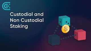 Custodial and NonCustodial Crypto Staking Explained [upl. by Goulette125]