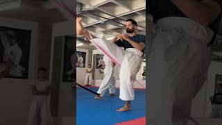 MAE GERI TRAINING WITH JESUS DEL MORAL  FRONT KICKS [upl. by Ahaelam]