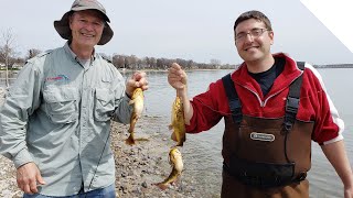 How to catch Bullhead catfish from shore [upl. by Lorak832]