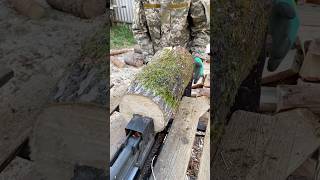 🔊ASMR wood splitting 🦾POWERFUL machine for splitting logs🪵 woodworking [upl. by Justino903]