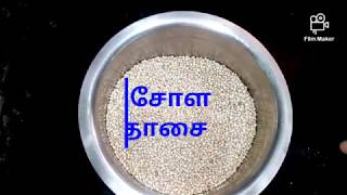 சோள தோசை செய்வது எப்படி chola dosa tamildhosai recipeMillet dosahealthy breakfast [upl. by Vento]