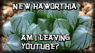 NEW HAWORTHIA SUCCULENTS PLANT HAUL amp AM I LEAVING YOU TUBE  MY COLLECTION GROWS [upl. by Ireland]