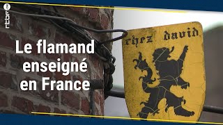 Le flamand peut dorénavant être enseigné en France  RTBF Info [upl. by Freida697]