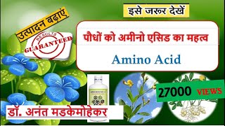 Importance of Amino acid to plants 🌱 पौधों को अमीनो एसिड का महत्व [upl. by Lavoie]