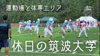 【筑波大紹介】 筑波大学キャンパス散歩 運動場 〜ある休日の筑波大学〜 [upl. by Sam]