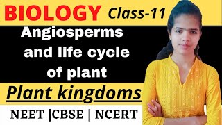 Angiosperm and life cycle of plant Plant kingdom  Class 11 CBSE  NCERT  NEET  Part6 [upl. by Misab]