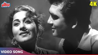 Madhubala amp Sunil Dutt Romantic Song 4K Chand Sa Mukhda Asha Bhosle Mohd Rafi  Insaan Jaag Utha [upl. by Whitehurst678]