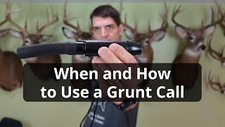 How and When to Use a Grunt Call [upl. by Adolf403]