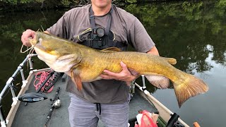 BIG Flathead CatFish Live In These Waters [upl. by Gerrald]