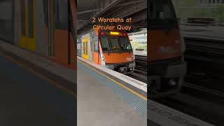 2 Waratahs at Circular Quay train sydneytrains [upl. by Rednaeel992]