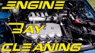 DIY Engine Bay Cleaning  How to clean your engine bay [upl. by Oker]