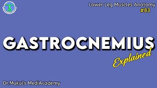 Gastrocnemius Muscle EXPLAINED83 [upl. by Lyrej]