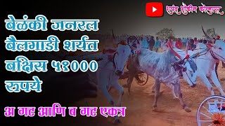 बेळंकी जनरल बैलगाडी शर्यत 🚩 जनरल अ गट बक्षीस 51000 रुपये  Amazing Bullock Cart Race At Belanki 🔥🔥 [upl. by Johnstone]