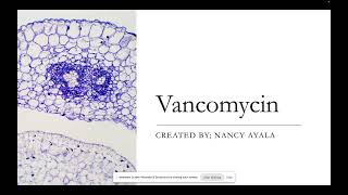 Vancomycin Presentation by Nancy [upl. by Zetneuq]