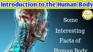 Introduction to the human body Cell Tissue Organs Systemscell biology [upl. by Aehsila]