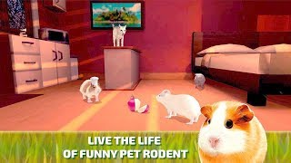 Cute Guinea Pig Home Adventure Simulator 3D [upl. by Alyaj988]