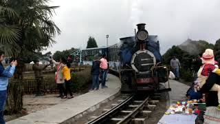 Darjeeling Toy train [upl. by Rector137]