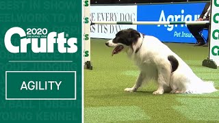 Agility – Crufts Team Large Final  Part 2  ​Crufts 2020 [upl. by Yasmine]