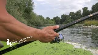 Bojnik Skobal Skobust RIBARSKO INTERMECO 1 del BOJNIK SHOU Ribolov Fishing Pecanje [upl. by Assirrac]