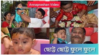 Chotto Chotto fule fule  Srijan lifestyle vlogs  Rice Ceremony Video  Bengali Annaprashan song [upl. by Havstad]