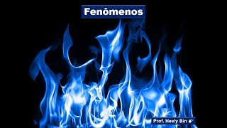 Fenômenos [upl. by Sterrett688]