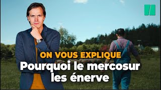 Pourquoi presque personne ne veut de l’accord avec le Mercosur [upl. by Aisa]