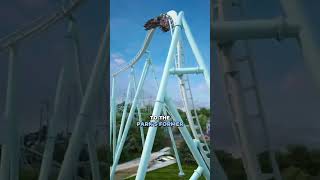 🚨Canada’s Wonderland announces AlpenFury Canada’s Tallest Fastest amp Longest Launch Coaster [upl. by Wyck]