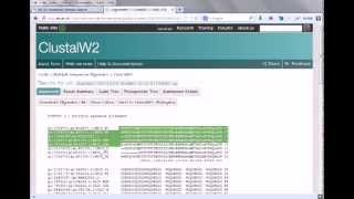 Bioinformatics practical 4 multiple sequence alignment using ClustalW [upl. by Ellmyer]