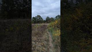 Чудова Панорама Українського лісостепу🌳Wonderful panorama of the Ukrainian foreststeppe 🌳 [upl. by Rekyr10]