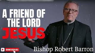 A Friend of the Lord Jesus Bishop Barrons Sunday Sermon [upl. by Enyehc]