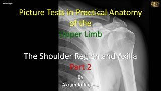 Picture tests in upper limb anatomy shoulder region and axilla 2 [upl. by Noroj]