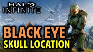 Black Eye Skull Location  Halo Infinite Collectibles Guide [upl. by Issy]