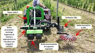 Interfilare CRG  rollhacke stella diserbo meccanico [upl. by Parker]