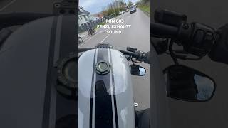 Iron 883 Harley Davidson Sportster mit PENZL V2 Speed Klappenauspuff  Klang amp Sound [upl. by Deyas]