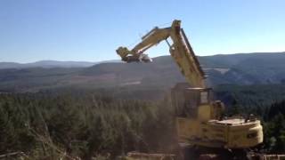 290 Kobelco tong tossing Meng Logging [upl. by Arvo]