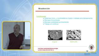 SFCM 1415 4 INTERFASE MATERIALESBIOTECNOLOGÍA LA BIORREDUCCIÓN DEL HIERRO [upl. by Serra]