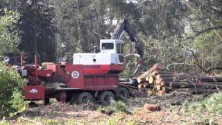 Logging HD  Knuckle boom loader and chipper [upl. by Atte]