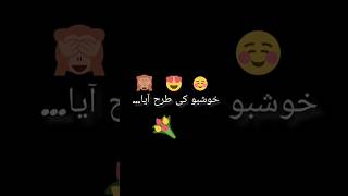 Urdu shairy urdupoetry shairy shorts viral [upl. by Cindee]