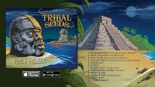 Tribal Seeds  Ruined OFFICIAL AUDIO [upl. by Eclud600]