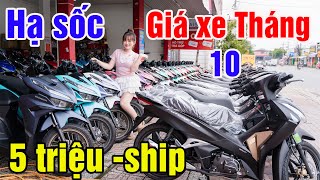 BÁO GIÁ XE ĐẦU THÁNG 10 VARIO 125 FUTURE 125 WAVE RSX SH MODE SH160 SATRIA SỐC 5 TRIỆU XE MÁY GIÁ RẺ [upl. by Efren277]