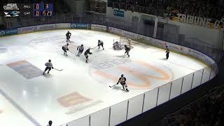 Rolands Vīgners 2 Goals vs Rapaces de Gap 27022024  Ligue Magnus [upl. by Lilithe]