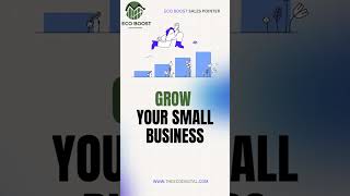 Eco Boost Sales Pointer Grow Your Small Business to New Heights amazonmanagement digitalmarketing [upl. by Airod803]