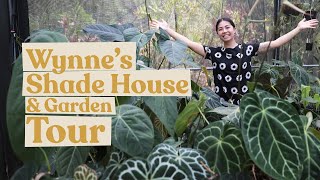 Wynnes Shade House amp Garden Tour foliagefreakplants  Anthurium Philodendron Monstera amp more [upl. by Ataliah850]