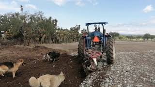 Barbecho con la newholland 5610 [upl. by Lihkin]